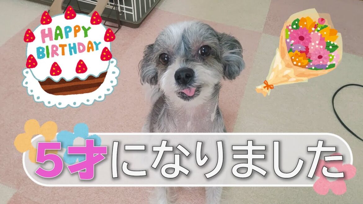 【チャイクレ】家族みんなに祝ってもらいました