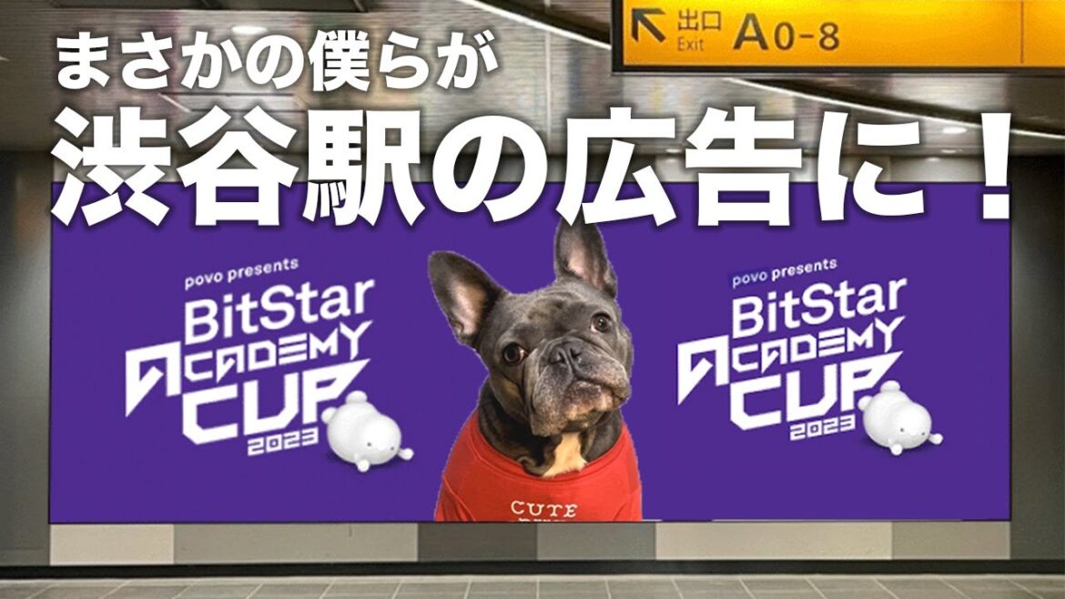 大優勝への道のりドキュメンタリー!大好きな子と掴んだ夢の1ヶ月 大優勝への道のりドキュメンタリー!大好きな子と掴んだ夢の1ヶ月