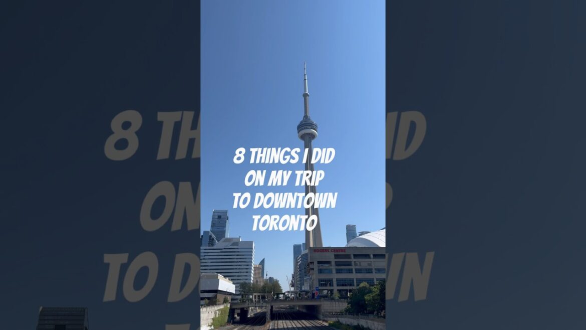 Chihuahua Mila’s trip downtown Toronto 😎💛🤩#chichi  #dog #shorts