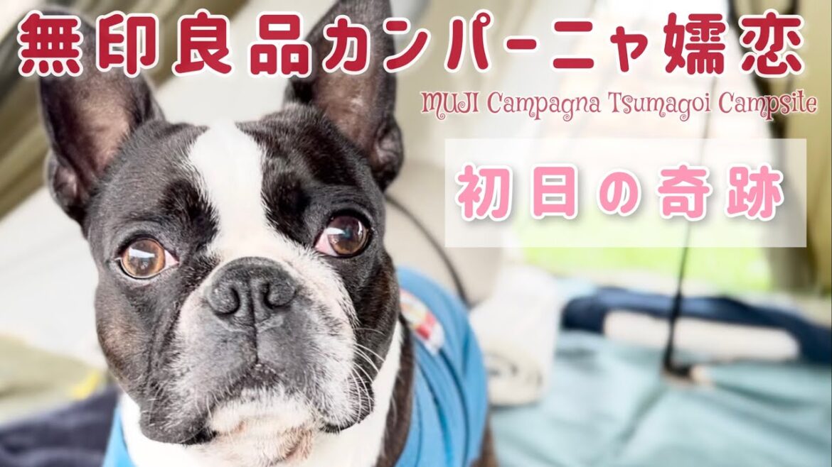 【連泊①:無印良品カンパーニャ嬬恋】奇跡の出会い/美味しすぎるクラフトビール/扉の外で思うこと/ボストンテリア