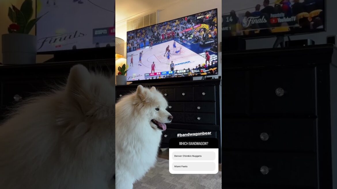 Hey, don't push each other, Let's play a Fair Game