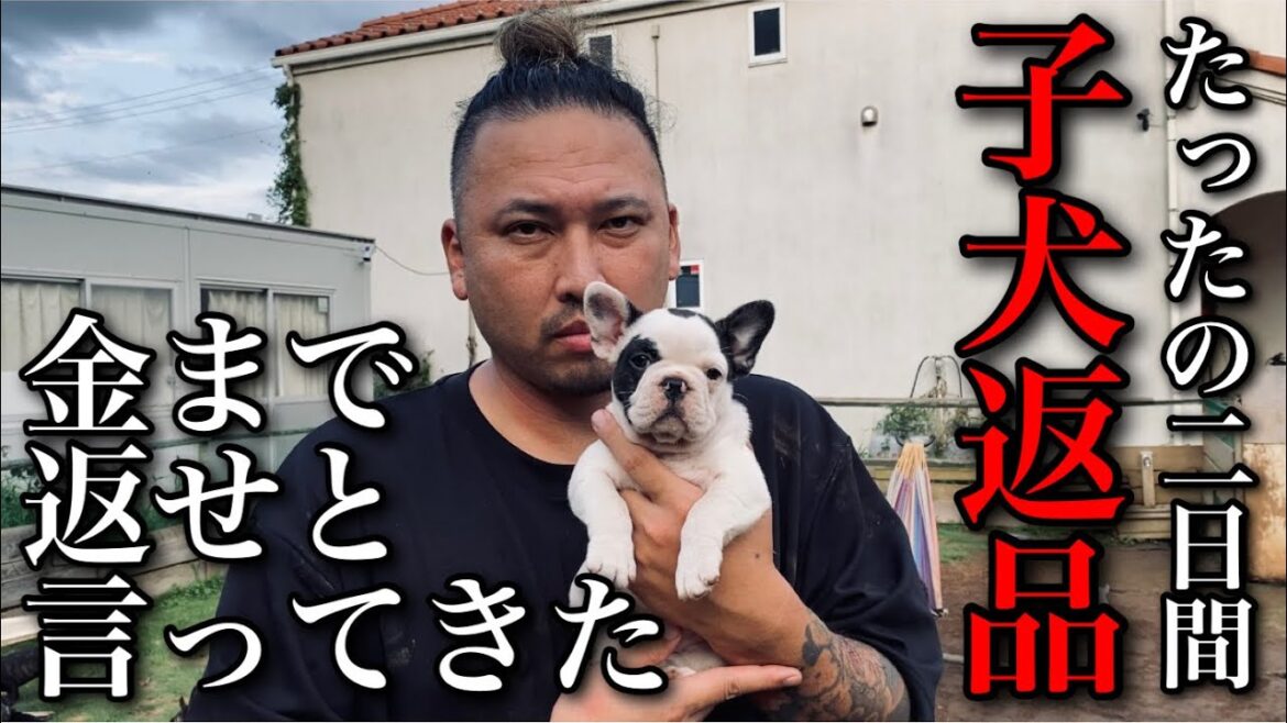 【最低】引き渡した子犬を2日で返品された挙句お金まで返せと言われました 【最低】引き渡した子犬を2日で返品された挙句お金まで返せと言われました