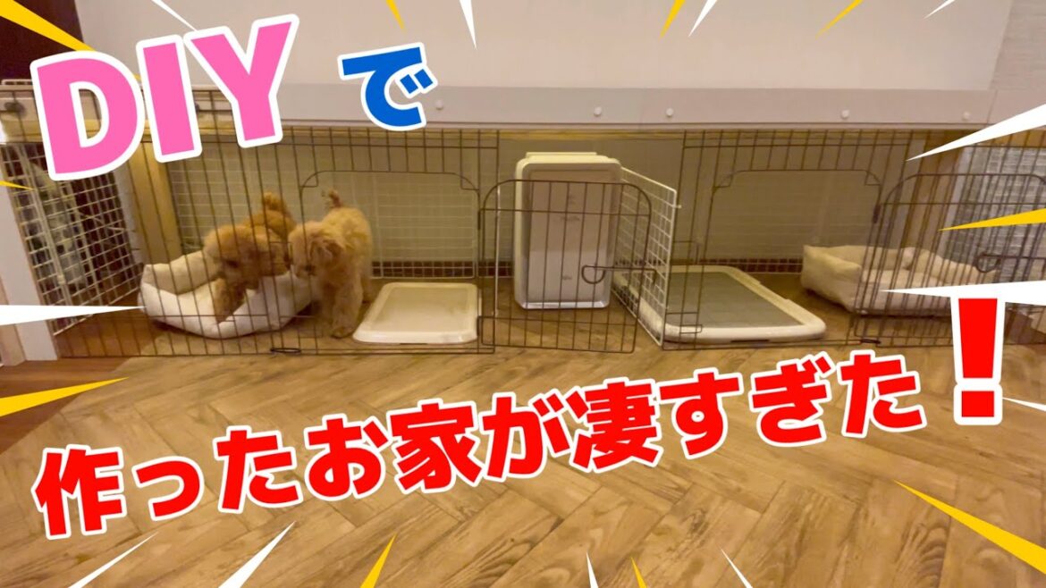 衝撃ビフォーアフター愛犬の為に作ったこだわりの家が凄すぎた！DIY