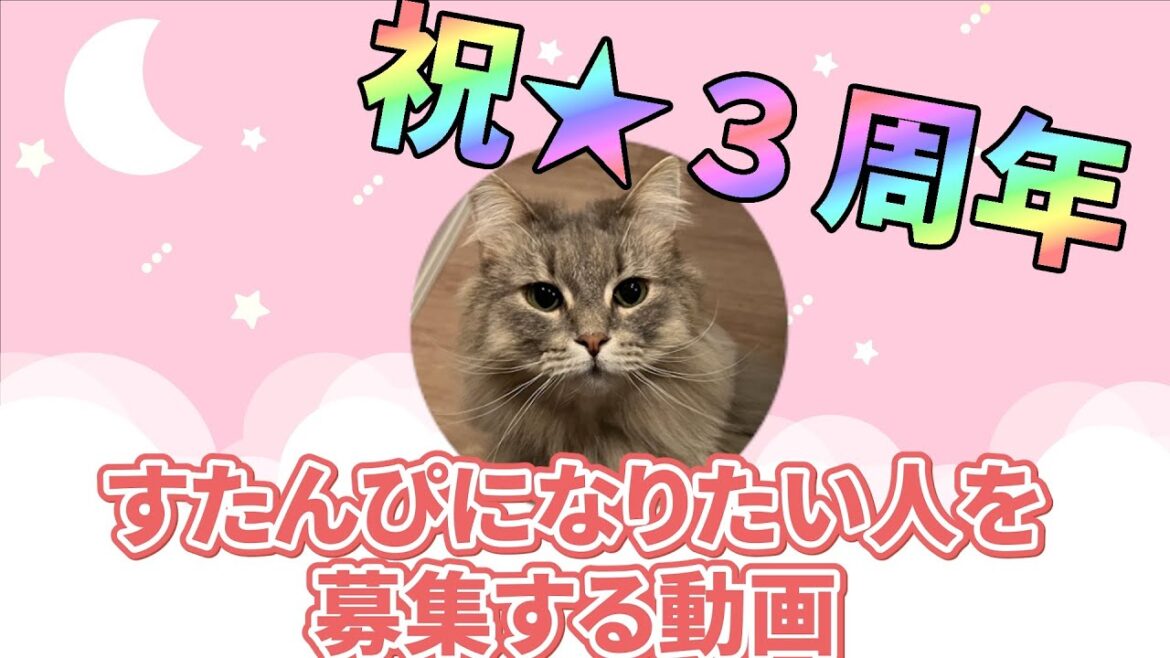 祝★チャンネル３周年！ノルウェージャンフォレストキャット