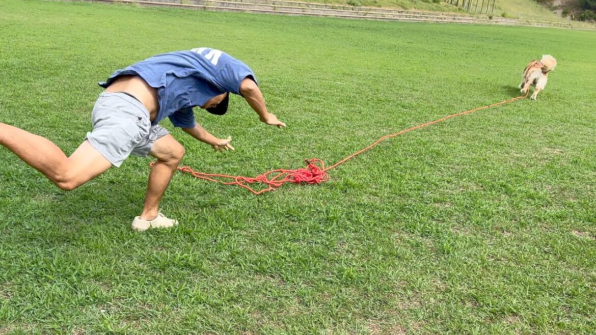 普段温厚で優しいからといって、ゴールデンレトリバーを信用してはいけません。。