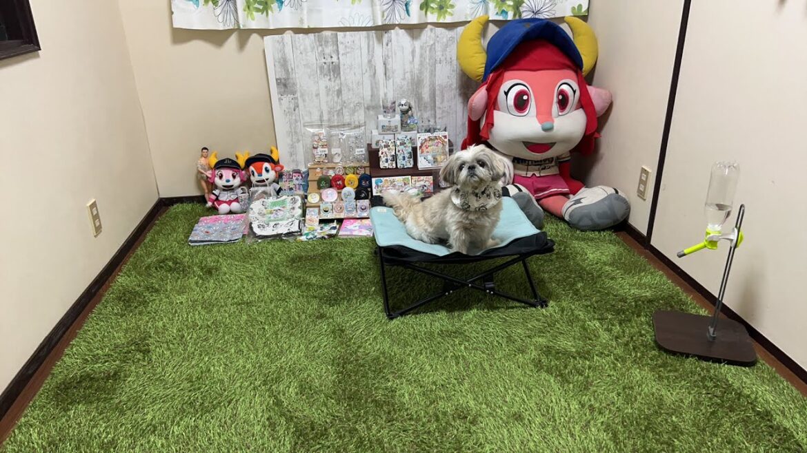 金曜定時ライブ
