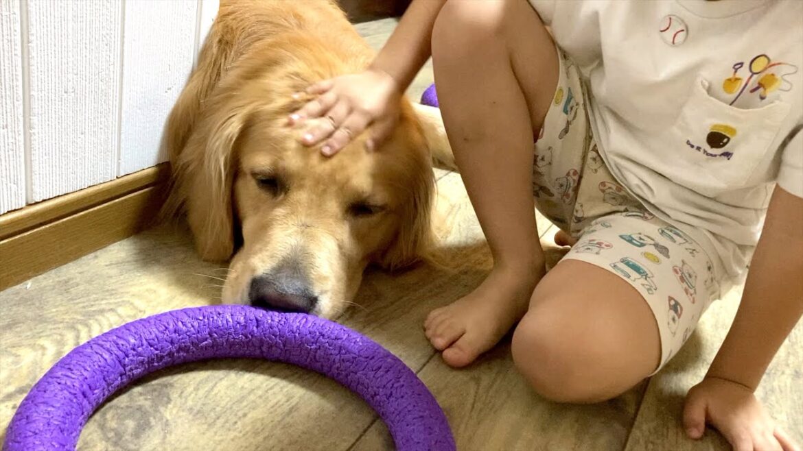 嫌なことはしない。その大切さを、きっと愛犬から学んでいる