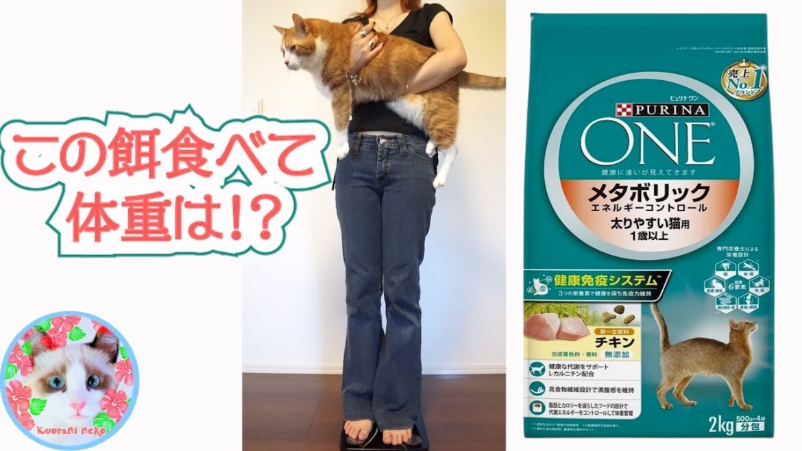 ピュリナメタボリックで猫は痩せたのか！検証 Purina metabolic cat food