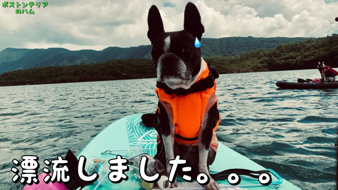 念願の西湖SUPで漂流しかけました…