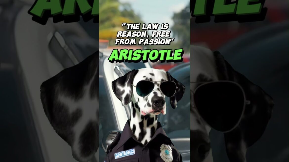 👮‍♂️ Paw Patrol: 👮‍♂️ A Dalmatian's Miami🌴 'Cop' Adventure🎼
