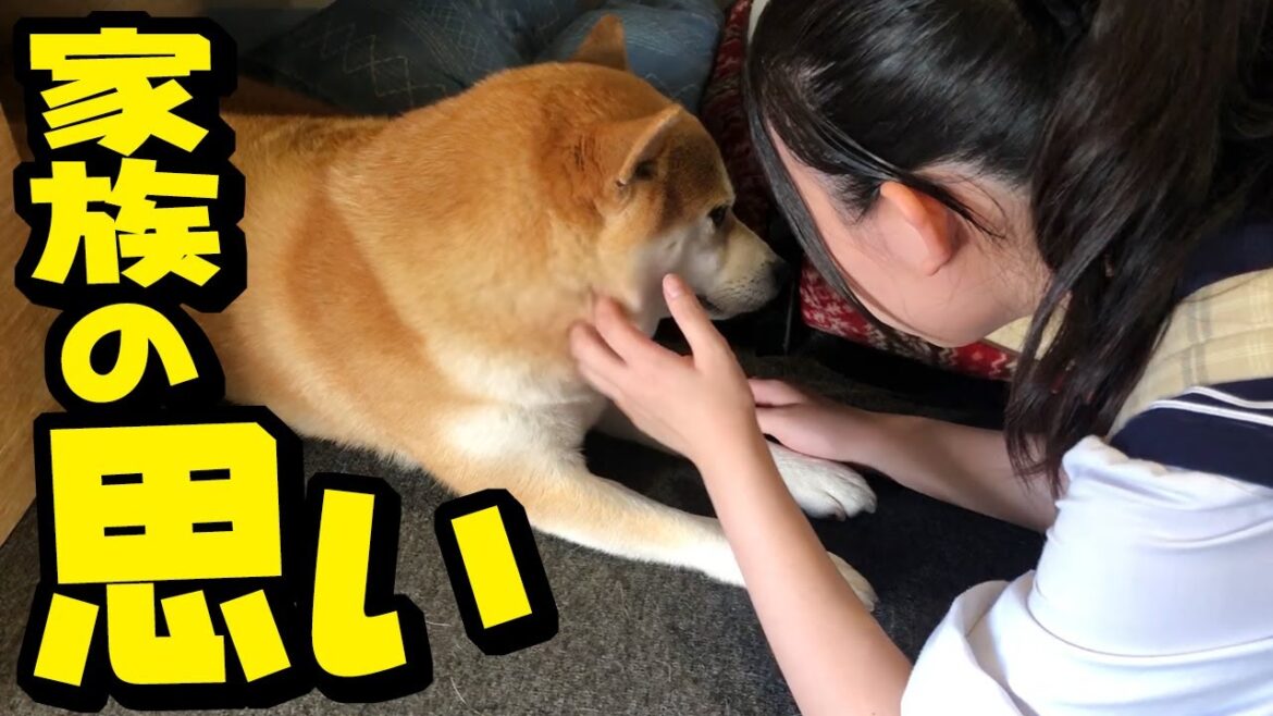 今後の家族の新たな形について…3歳のお誕生を迎えるちくわへの想い