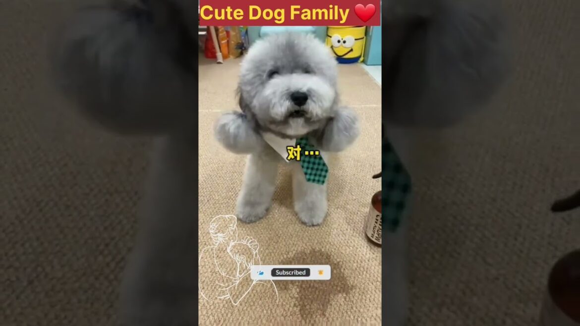 Cute puppy 🥰 and Mummy funny 🤣Part 89mini wood toy-wood working art skill /wood/handcraft /#shorts