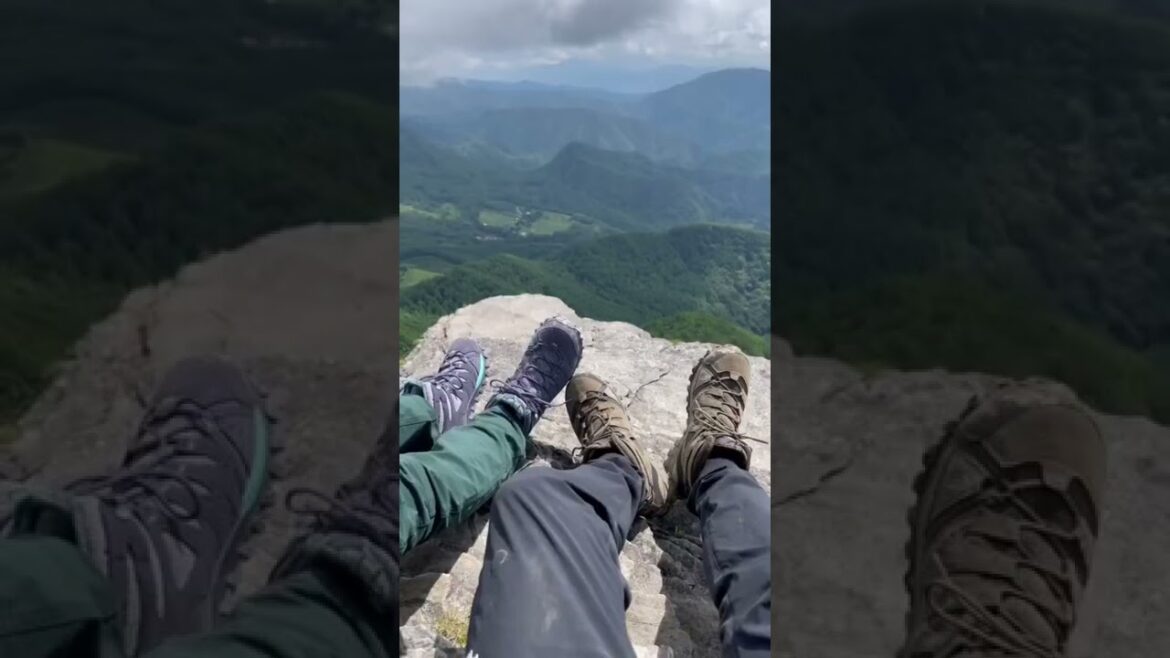 [ミニチュアシュナウザー] 初登山の思い出 [多頭飼い] [美ヶ原]