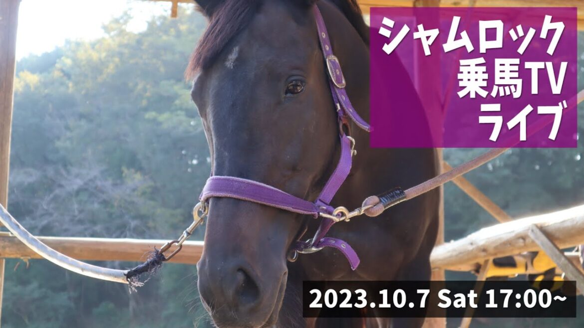 シャムロック乗馬ライブ/第3四半期 シャムロック乗馬ライブ/第3四半期