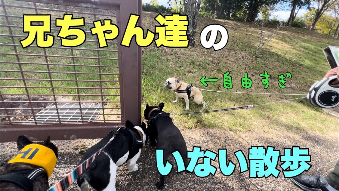 末っ子チームだけでお散歩ｗｗさてどうなる⁈
