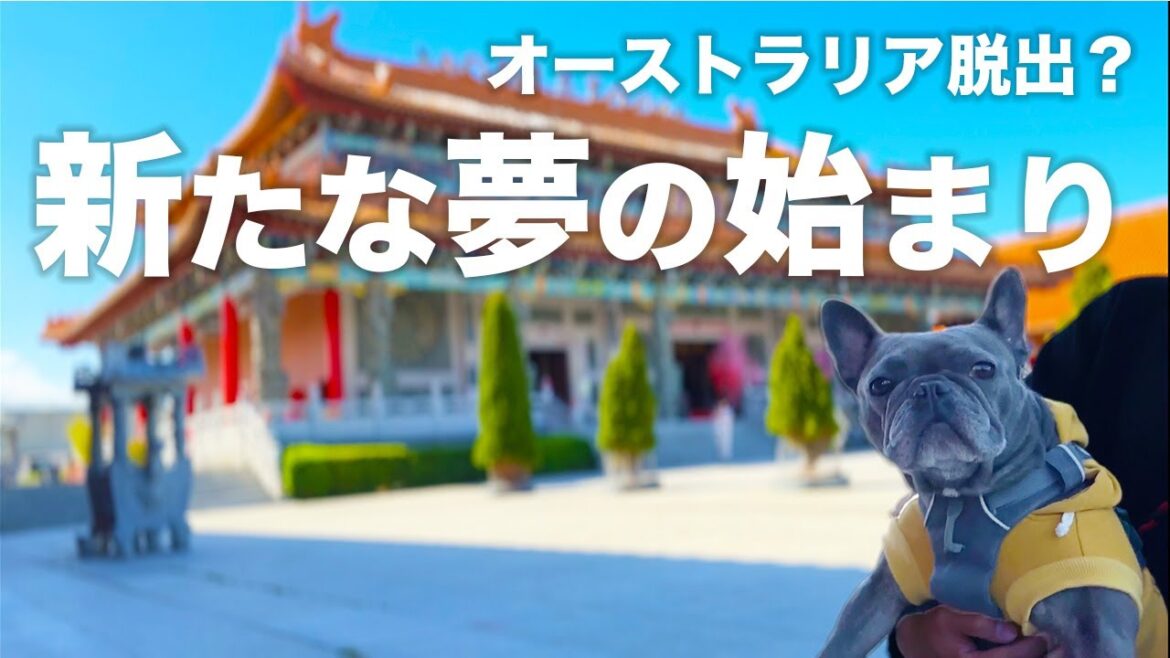 視聴者の皆さん今までありがとうございました!お礼をしたい僕ら… 視聴者の皆さん今までありがとうございました!お礼をしたい僕ら…