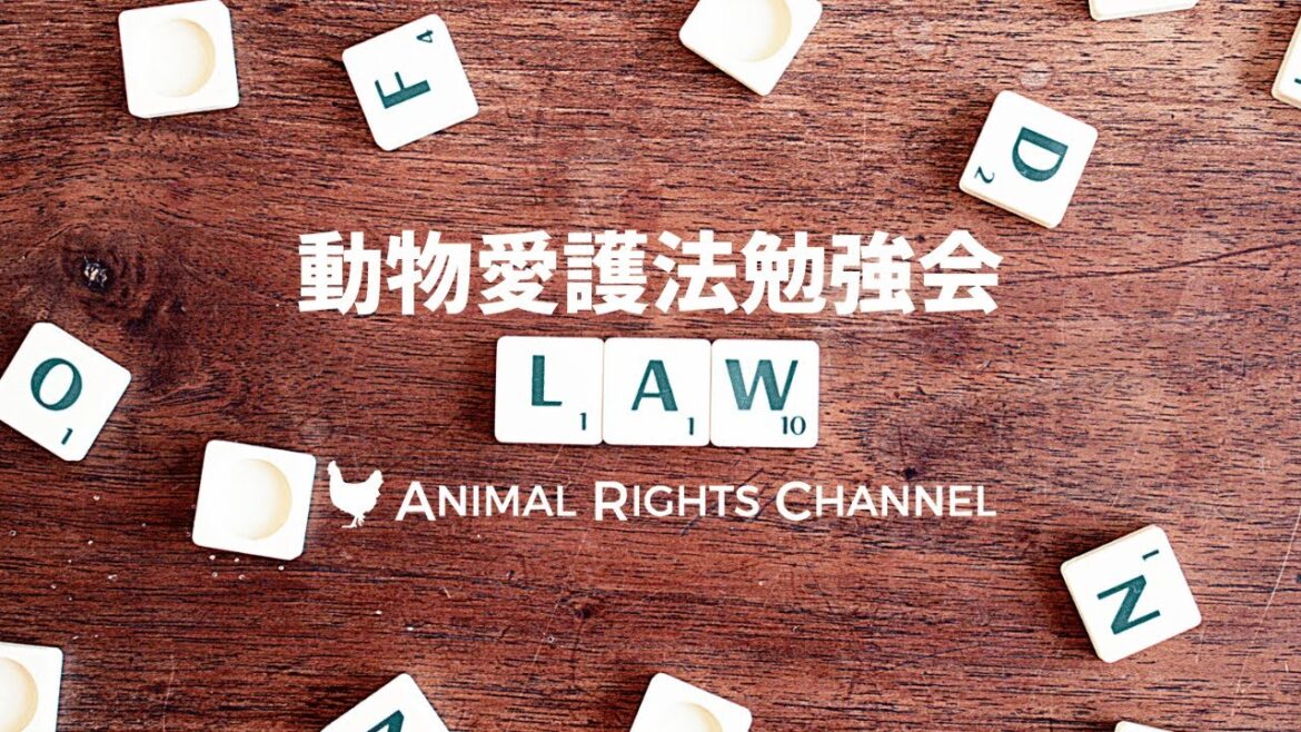 アニマルライツチャンネルVOL45[動物愛護法勉強会]