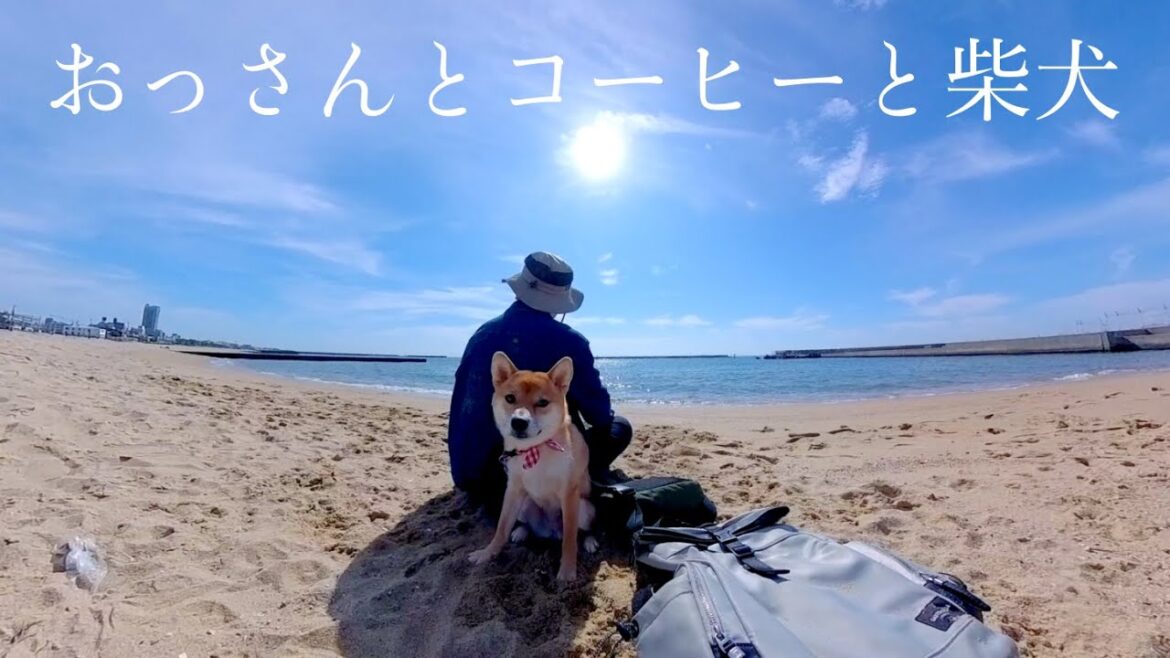 【ASMR】おっさんとコーヒーと柴犬 in須磨海岸　 #神戸 #shibainu #柴犬 #japan #dog #柴犬のいる暮らし