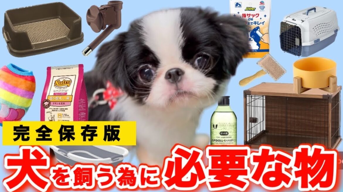 【子犬のお迎え準備】使って分かったお迎え前と後で必要なもの32選！