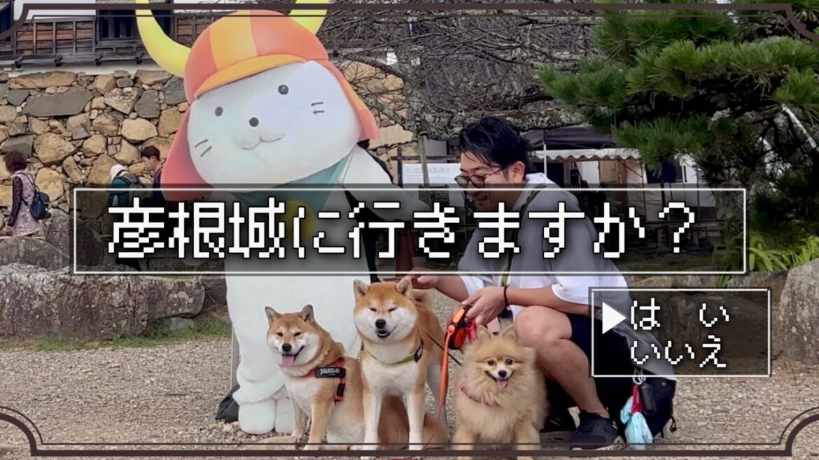 赤ちゃん・柴犬・豆柴・ポメ・夫婦のパーティーで天守閣を目指す
