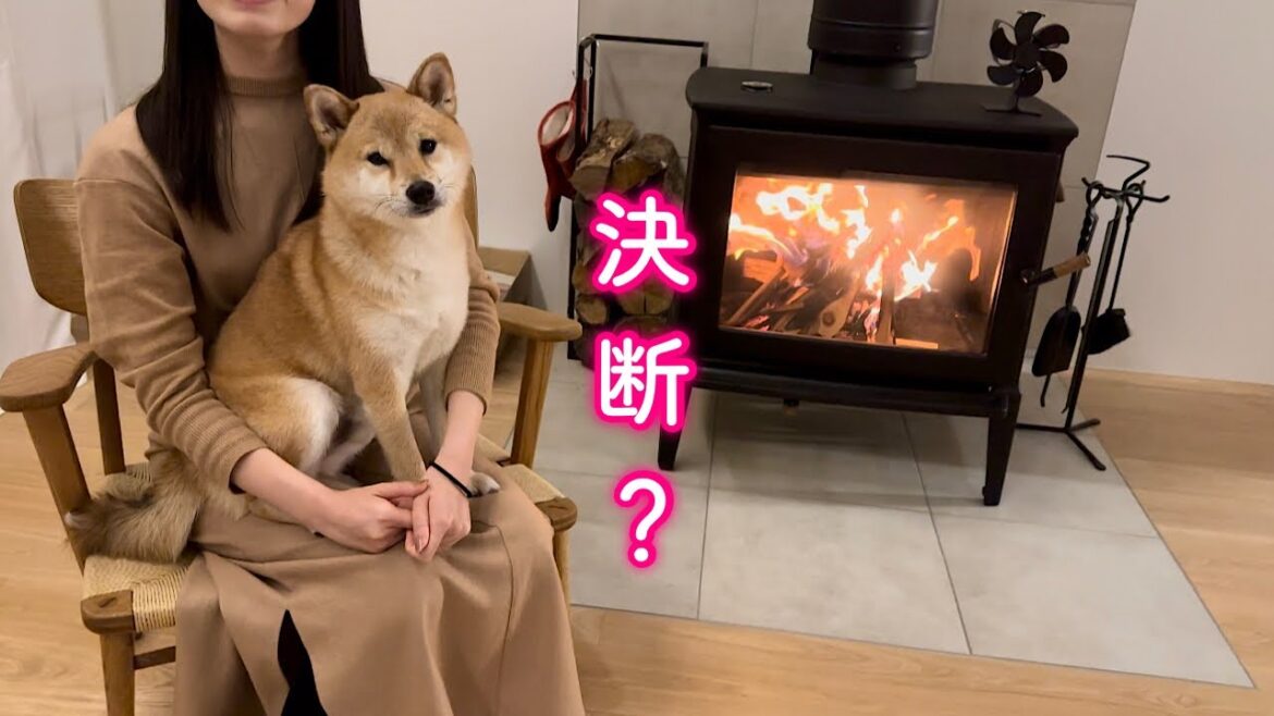 愛犬との今後の暮らしについて…
