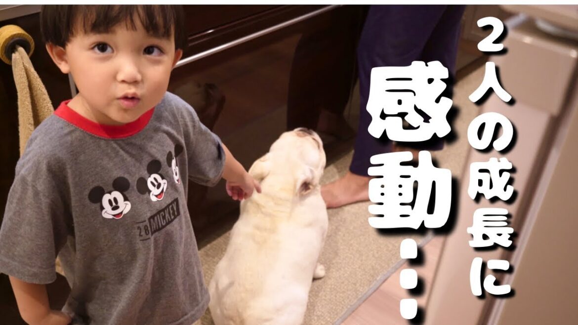 子供嫌いの愛犬と3歳児がしっかり順番を守ってオヤツを貰う姿に感動した 子供嫌いの愛犬と3歳児がしっかり順番を守ってオヤツを貰う姿に感動した