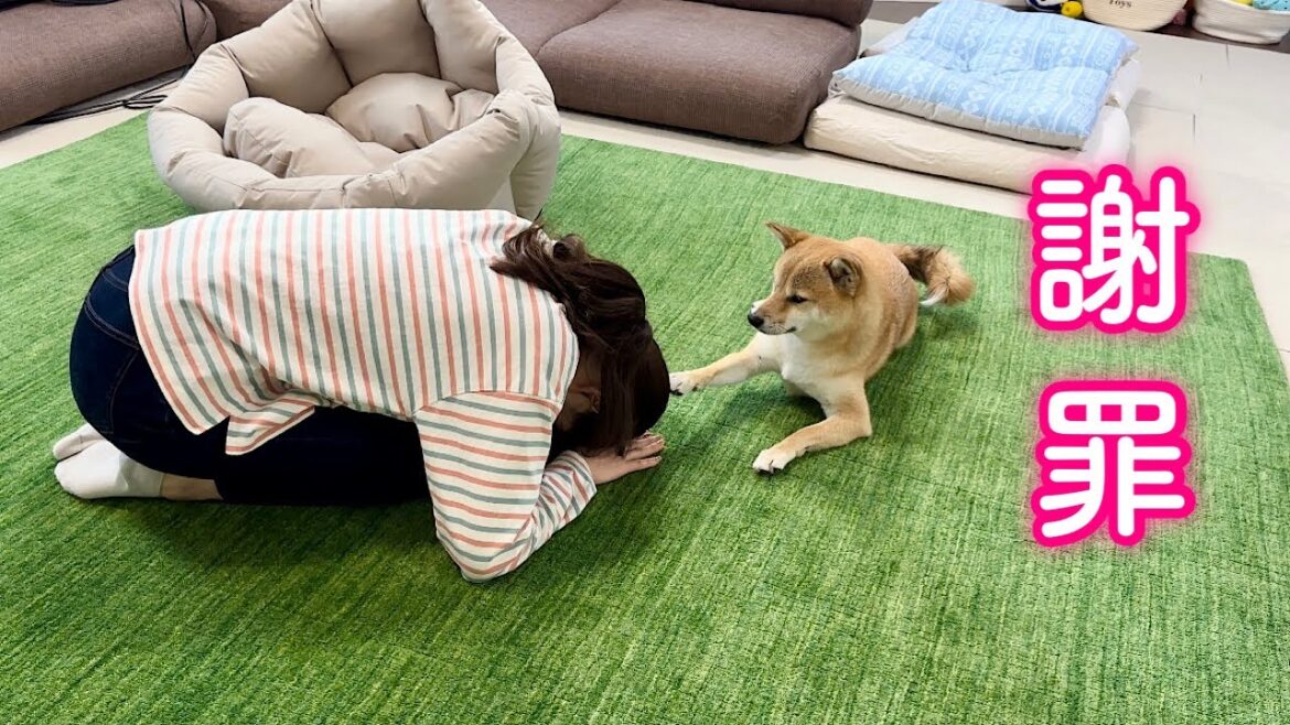 富くんに謝らないといけないことがあります…
