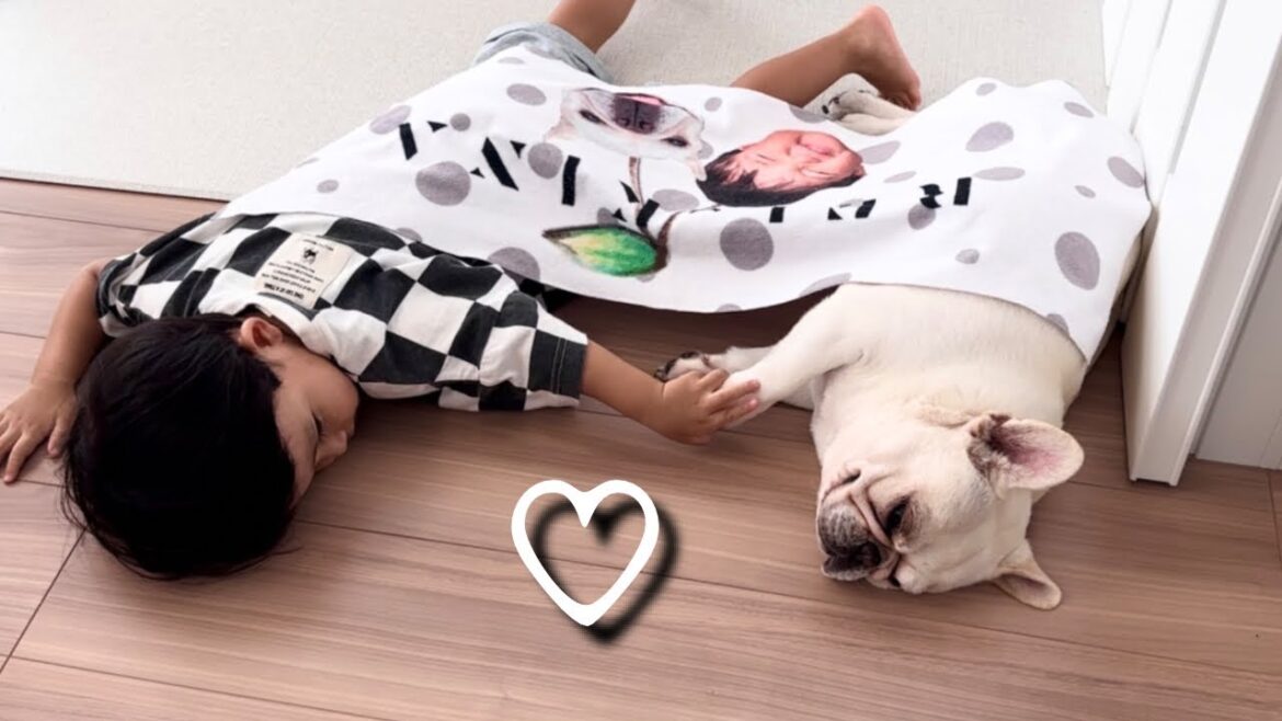 愛犬が3歳児に怒らないかドキドキしました。