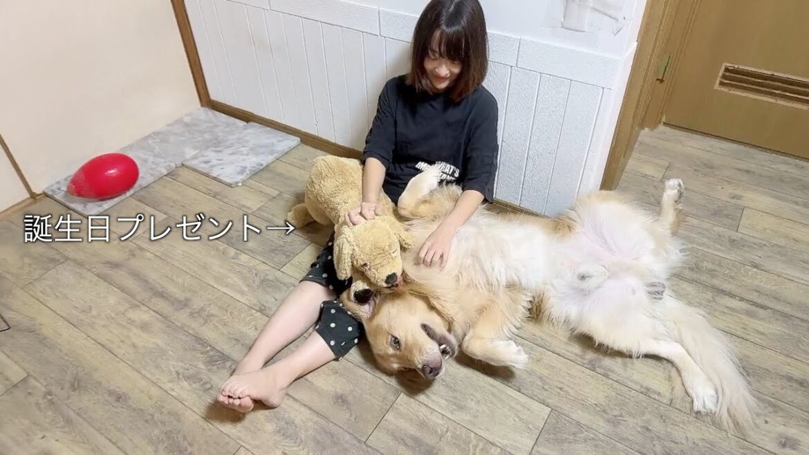 愛犬の前で、ぬいぐるみを「お友達」として可愛がった結果。。。
