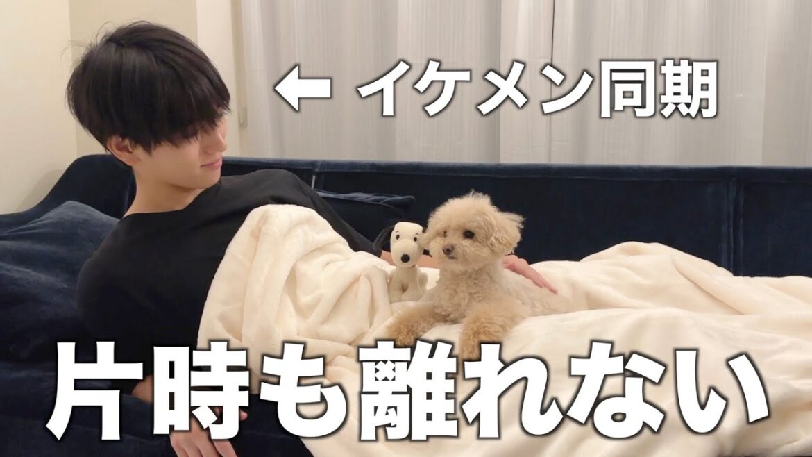 【神回】大好きなイケメン同期との初お泊まりで楽しい夜を過ごすトイプードル 【神回】大好きなイケメン同期との初お泊まりで楽しい夜を過ごすトイプードル