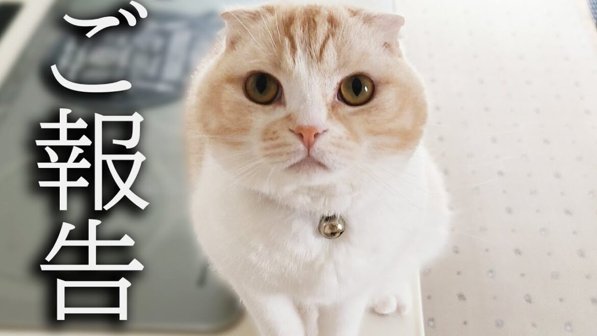 【ご報告】病院での診察結果について...