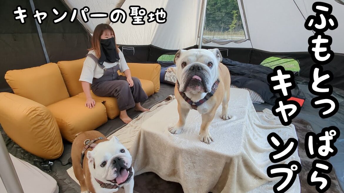 【特別ゲスト有り】秋のふもとっぱらキャンプ場に室内ドッグラン作ったら愛犬が暴走して手に負えなくなってしまいました…