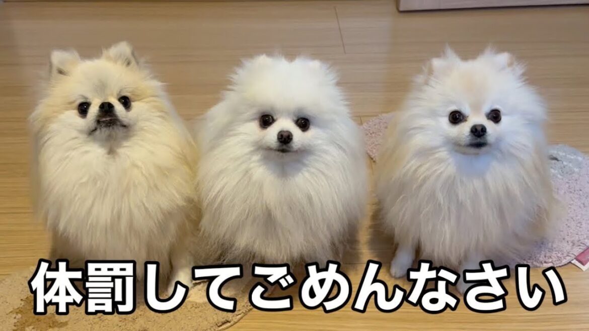 好き過ぎるあまりこんな事になってしまいました