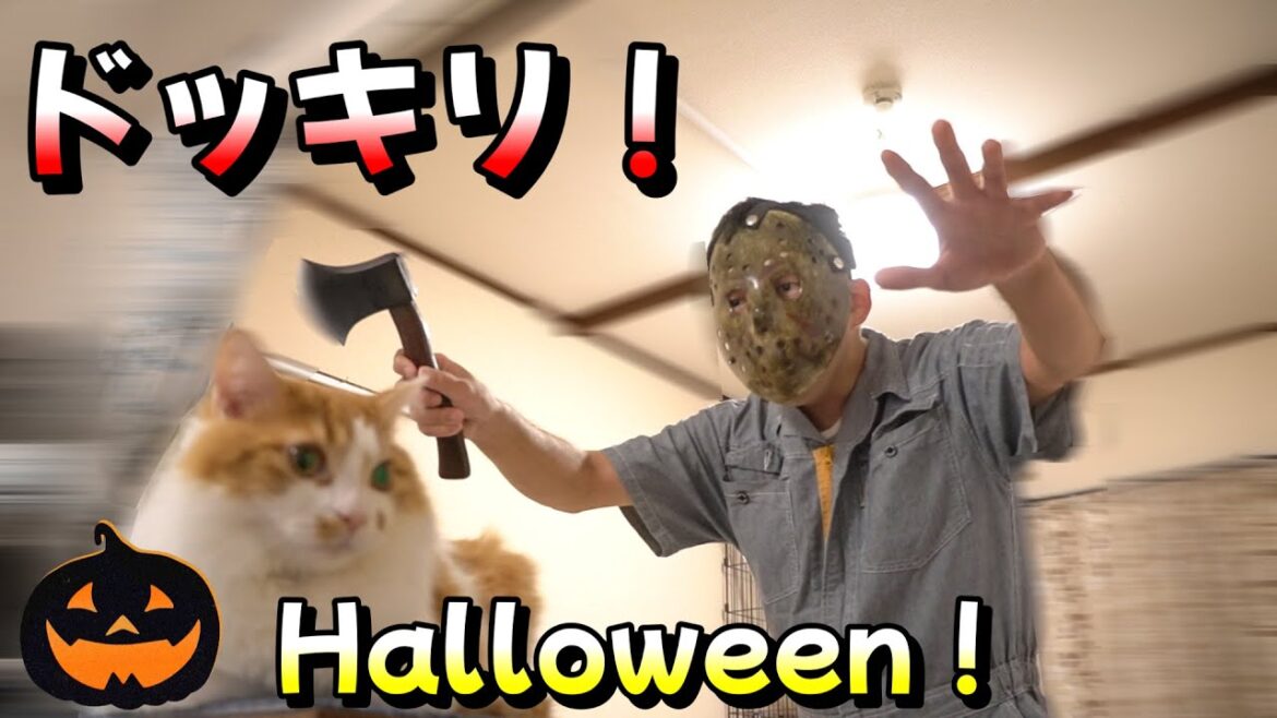 【ハロウィン】突然ジェイソンが家に入って来た時の猫の反応が想像以上だった！