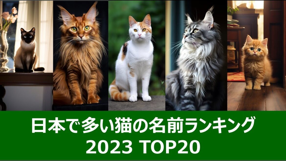 日本で多い猫の名前ランキング2023 ベスト20