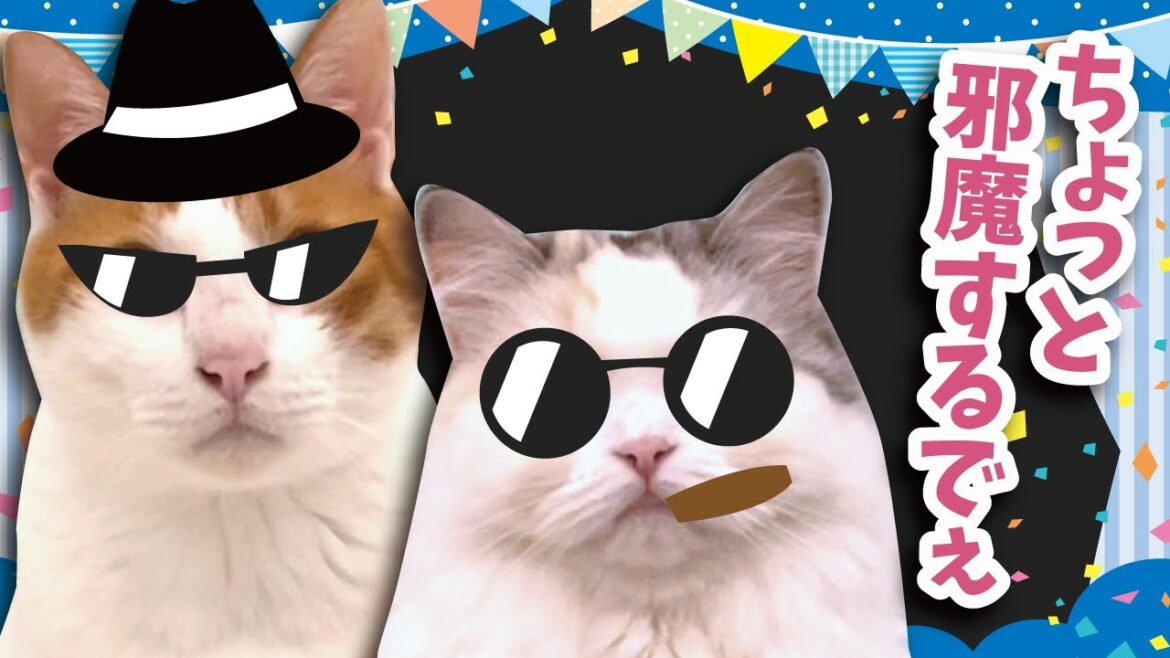 悪さばかりする極悪な猫に天罰がおちました【関西弁でしゃべる猫】【猫アテレコ】