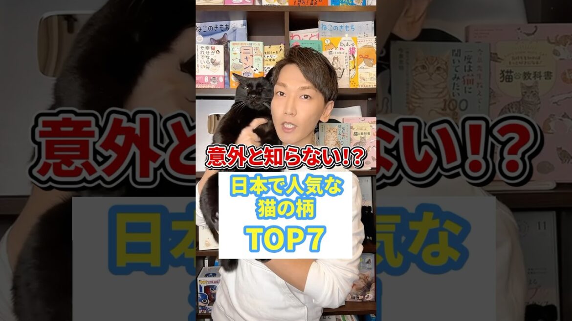 意外と知らない！？日本で人気な猫の柄TOP７