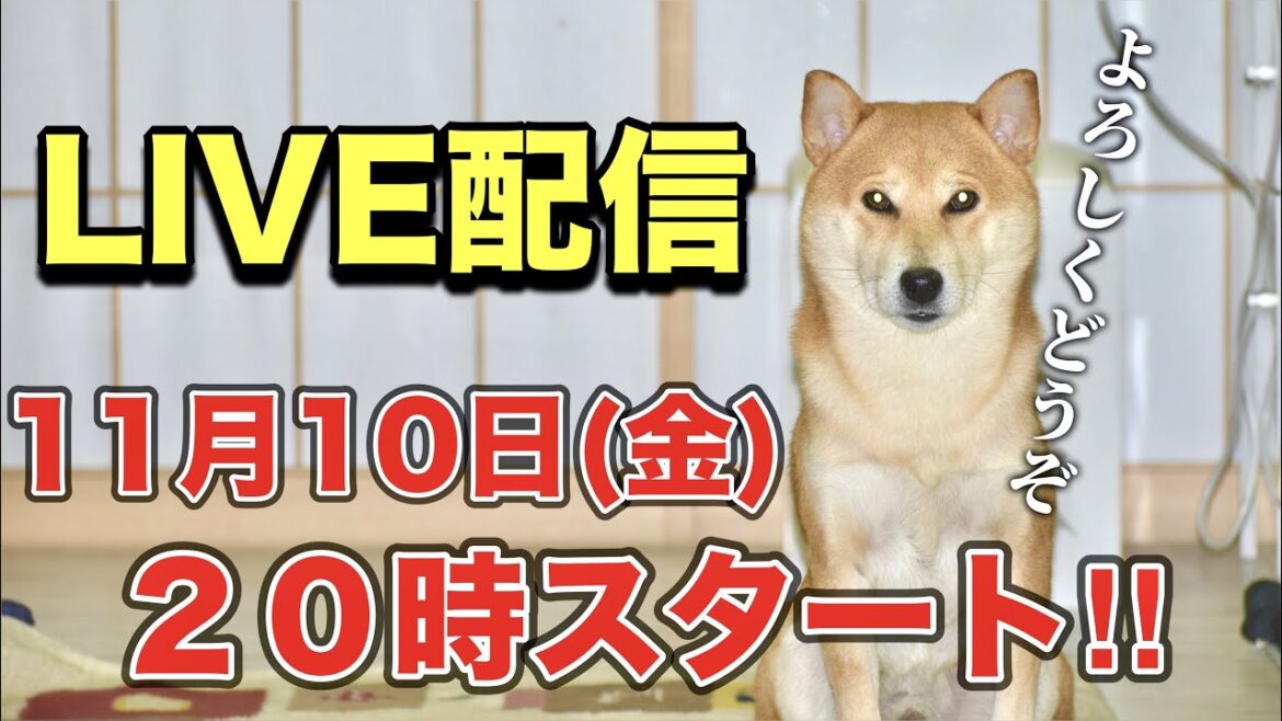 お久しぶりですが調子どぉよ?Live配信!! お久しぶりですが調子どぉよ?Live配信!!