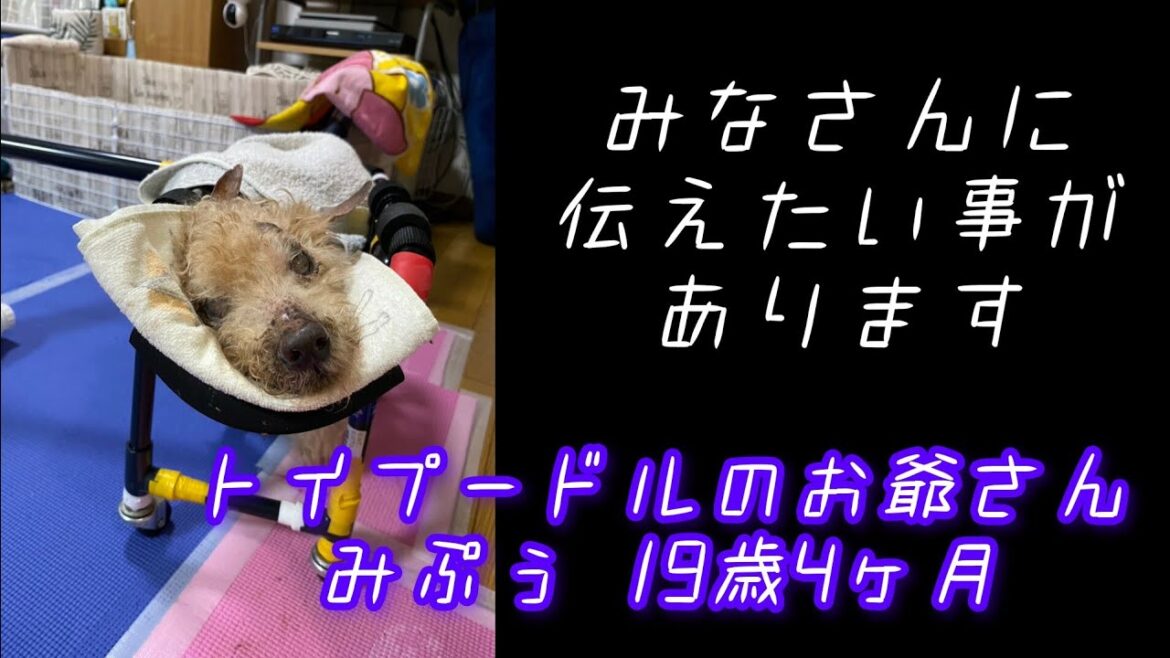 【緊急配信】皆さんに伝えたい事があります