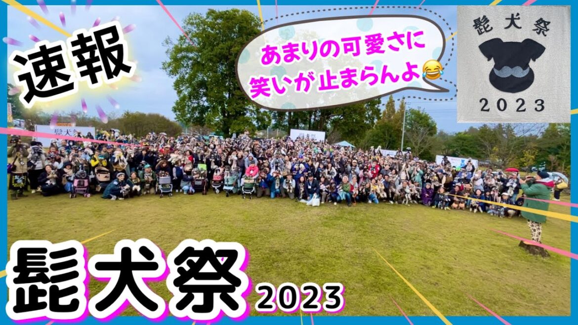 【速報☆髭犬祭2023】あの時の笑いと感動をもう一度!可愛いミニチュアシュナウザーが大集合! in ドギーズアイランド 2023年11月12日 【速報☆髭犬祭2023】あの時の笑いと感動をもう一度!可愛いミニチュアシュナウザーが大集合! in ドギーズアイランド 2023年11月12日