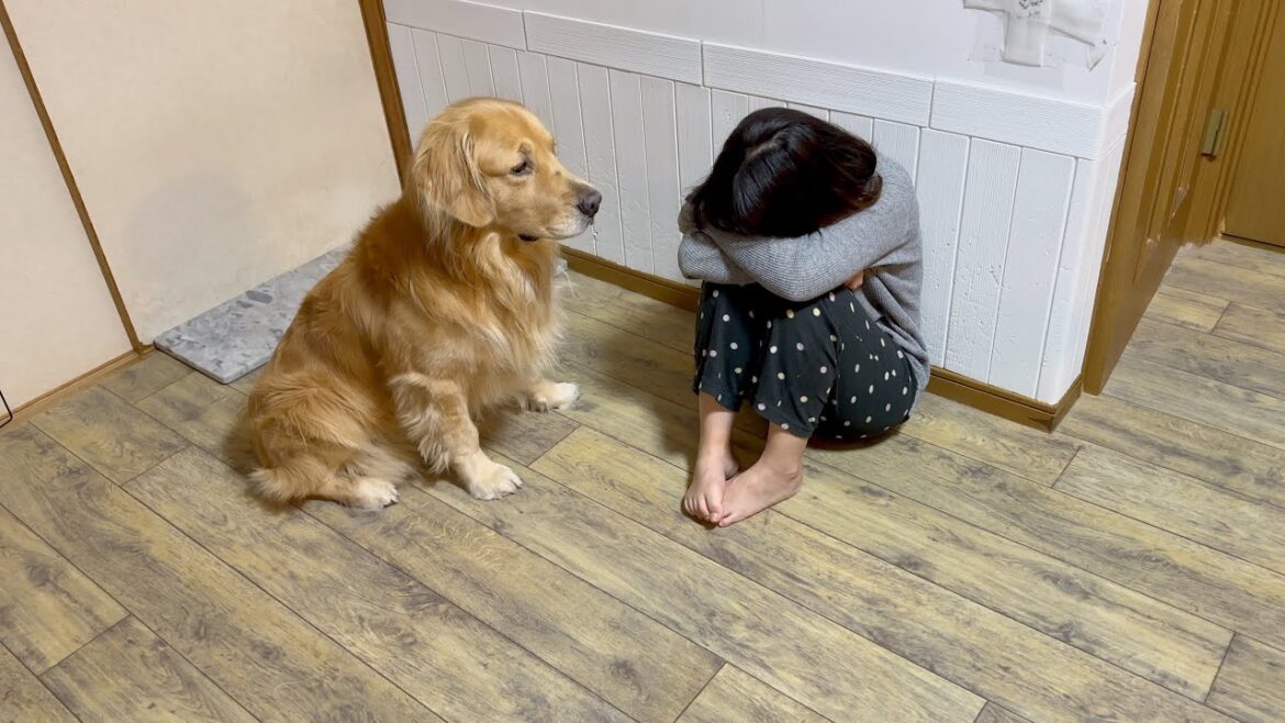 散歩中にママが愛犬に引きつずられ、頭を強打してしまいました…