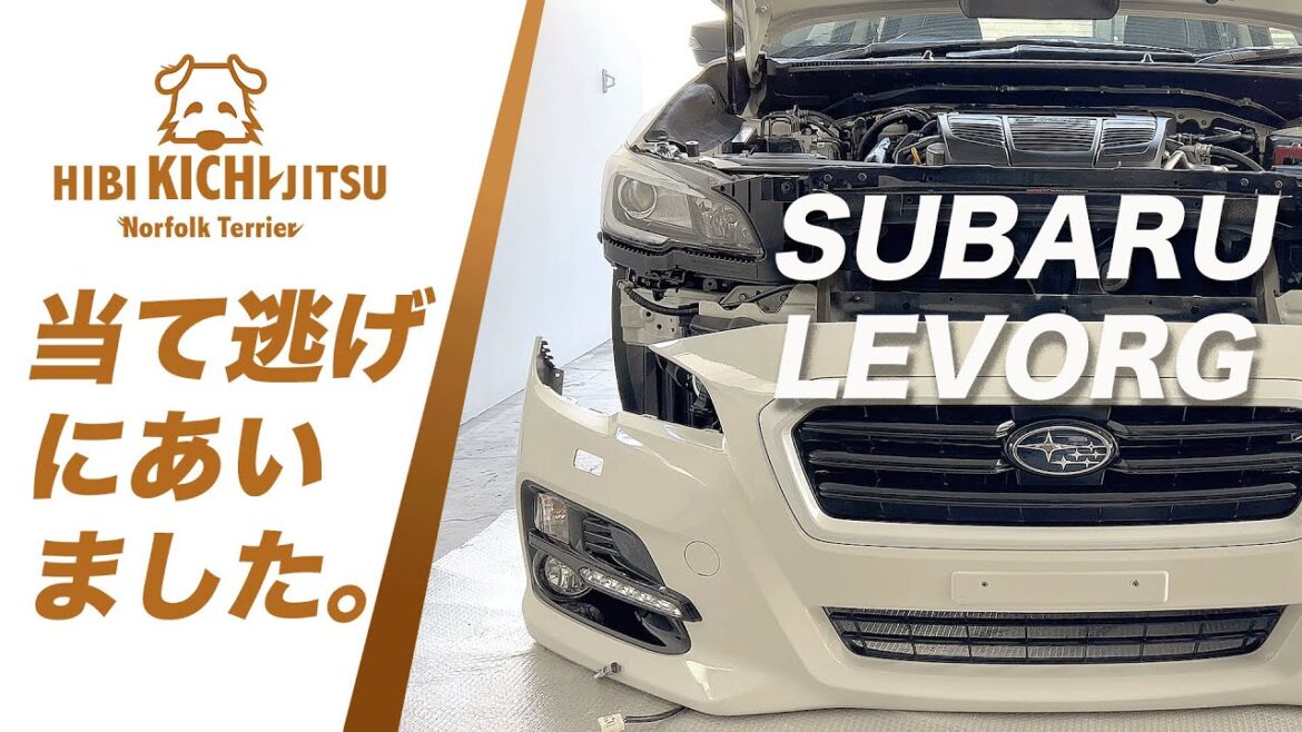 SUBARU LEVORG 当て逃げにあいました【 dog ノーフォークテリア norfolkterrier car】