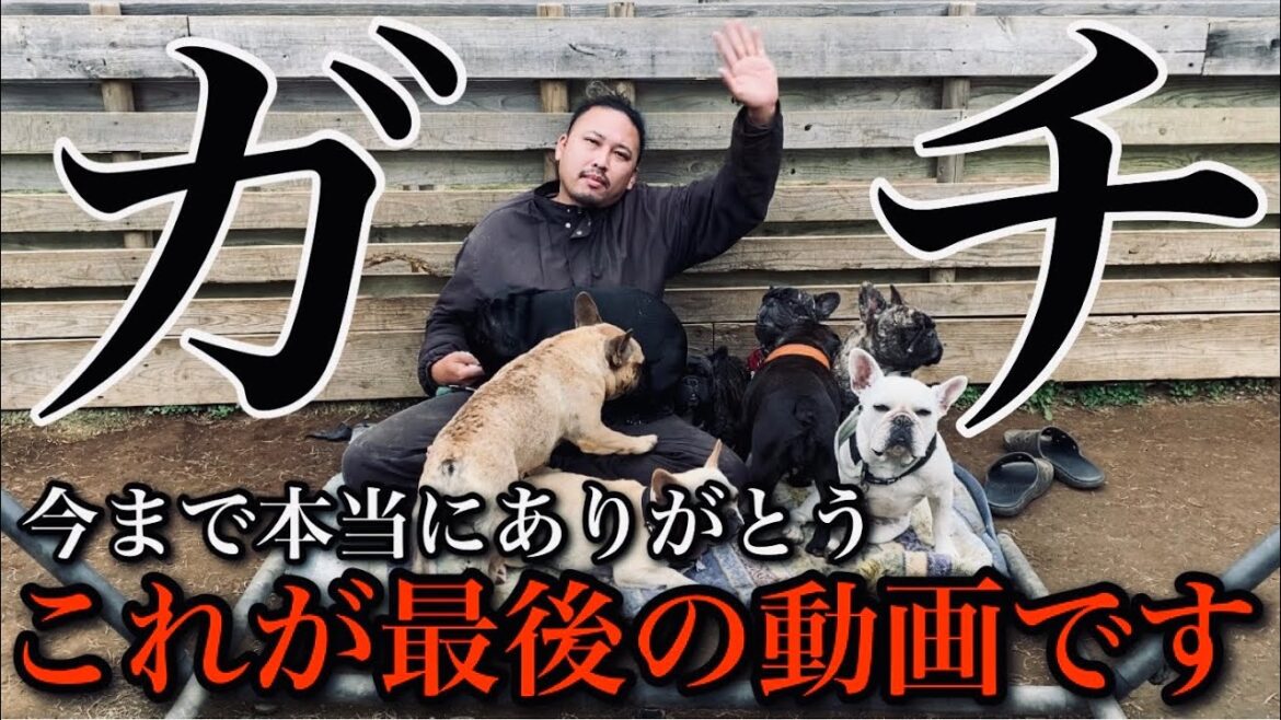 【本当です】今日でブリーダーとYouTubeを辞めます。 【本当です】今日でブリーダーとYouTubeを辞めます。