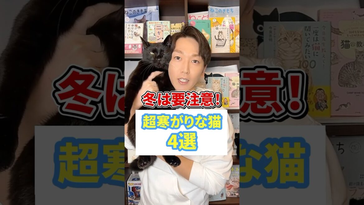 冬は要注意！超寒がりな猫4選