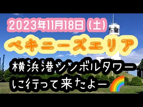 ペキニーズエリアでアポロはお散歩#ペキニーズエリア#ドッグラン#シンボルタワー ペキニーズエリアでアポロはお散歩#ペキニーズエリア#ドッグラン#シンボルタワー