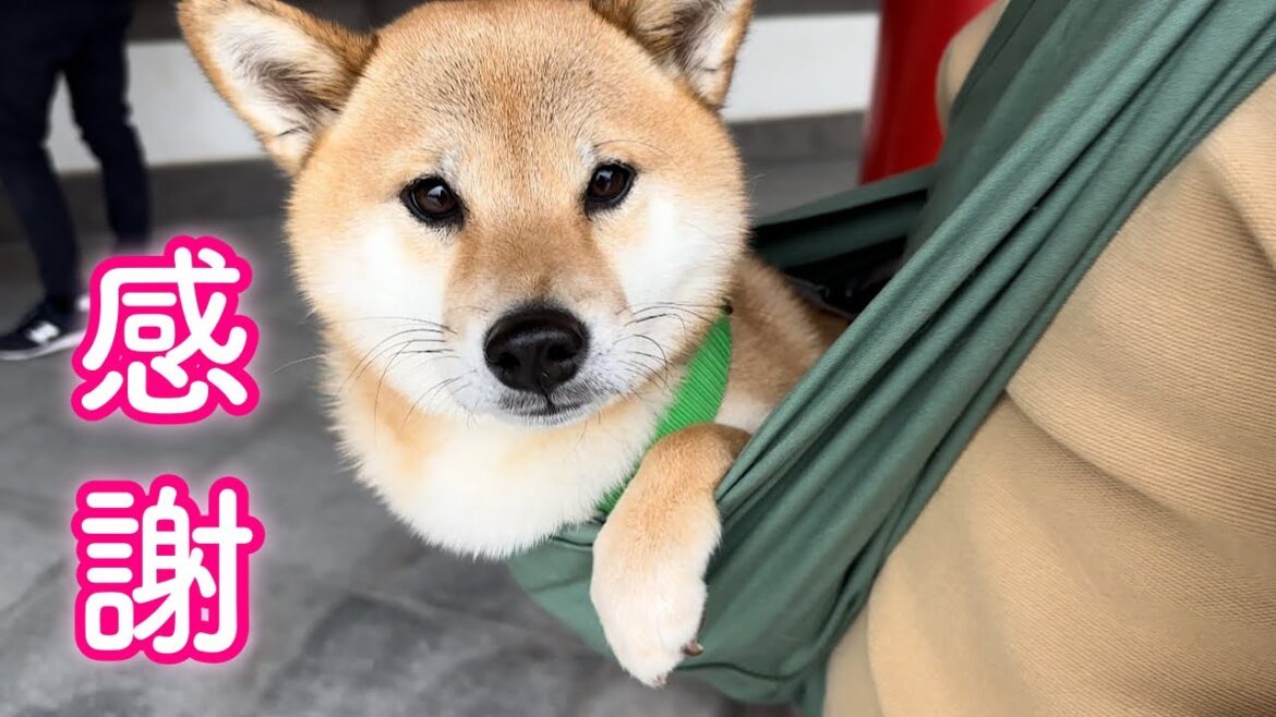 2年間ありがとうございました…！