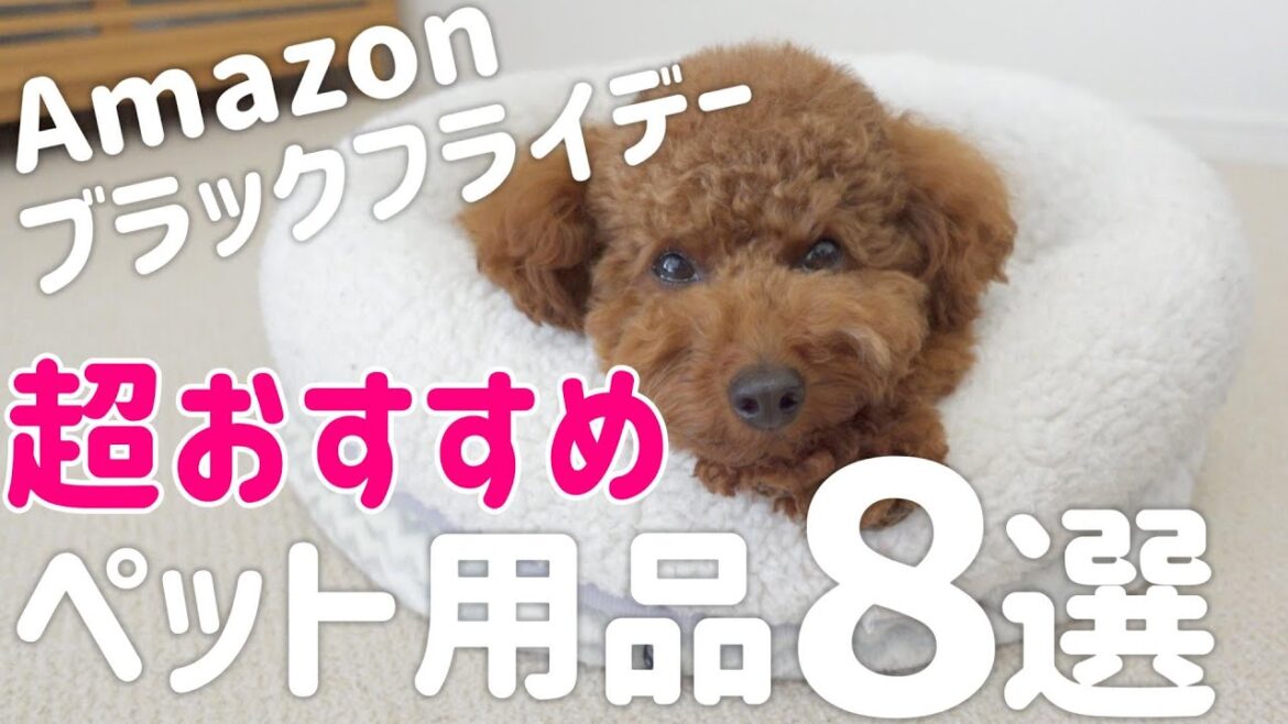 【これは買い!】Amazonブラックフライデーで絶対購入したいペット用品8選 【これは買い!】Amazonブラックフライデーで絶対購入したいペット用品8選