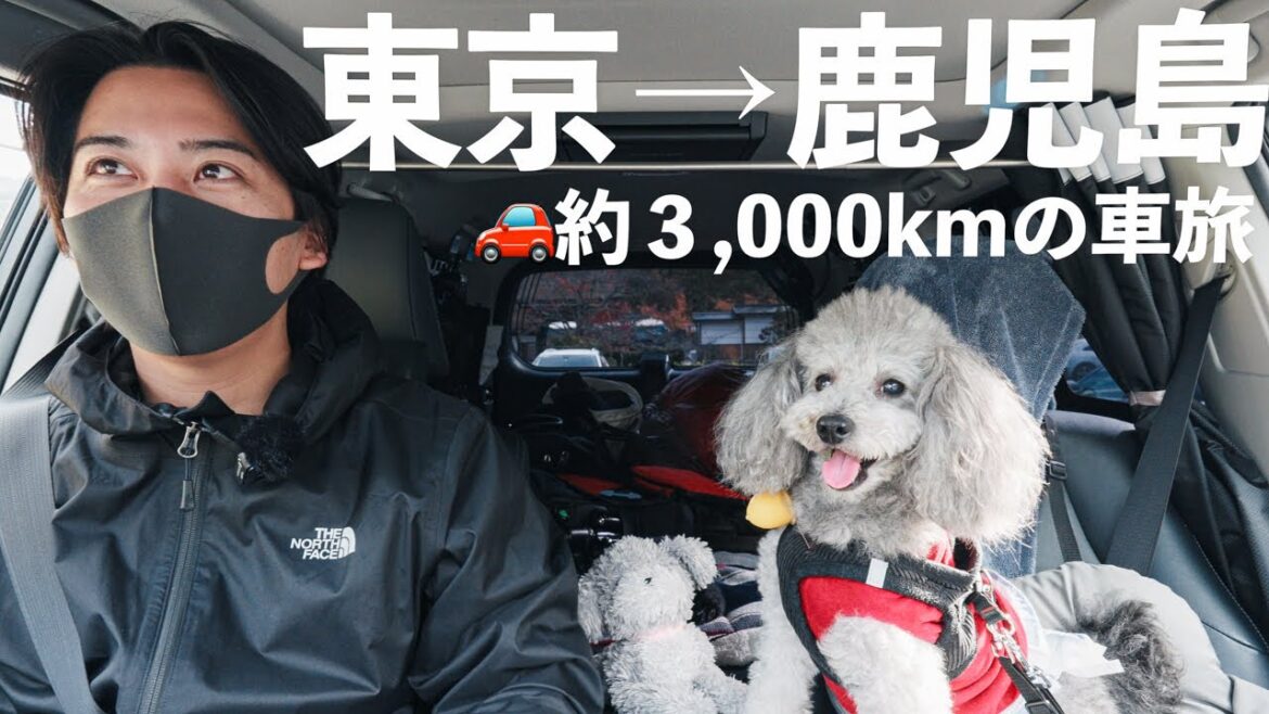 🐶【東京→鹿児島#1】愛犬と故郷の九州を目指して旅に出ます。