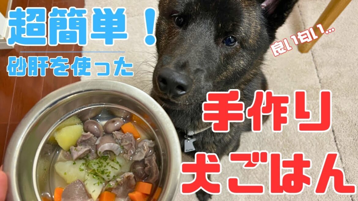 【甲斐犬】超簡単！切って煮る・焼くだけ手作り犬ご飯をやぶにあげてみた！（砂肝と3種の野菜ポトフ / 砂肝のグリル）