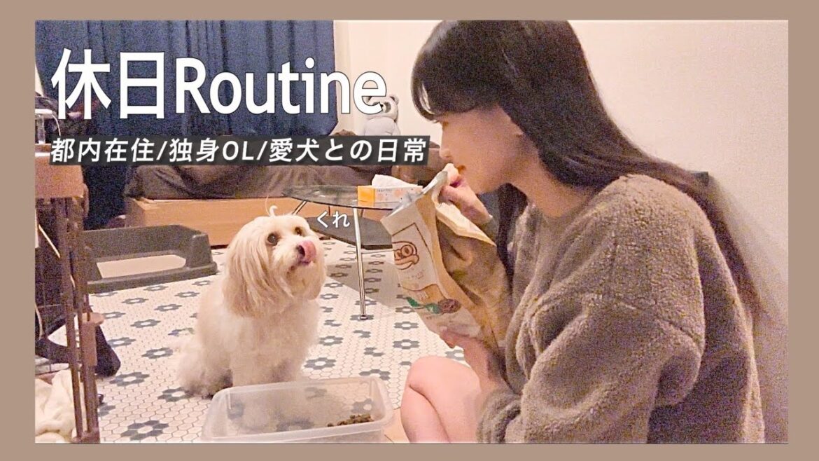 【休日ルーティン🏠】 1日中わんこと趣味に捧げる日曜日|犬と暮らす20代OLの日常#犬のいる生活